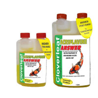 Cloverleaf Acriflavin 1ltr