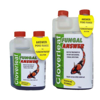 Cloverleaf Fungal Answer 250ml