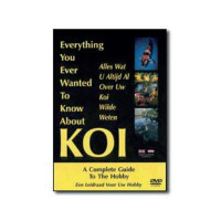 Everything ever wanted to know about Koi