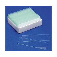 Glass Slides x 50 Pcs