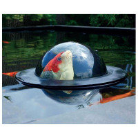 Koi Viewing sphere Medium