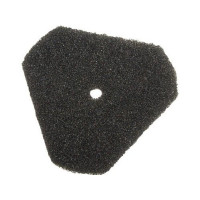 Spare foam for Swim Skim CWS