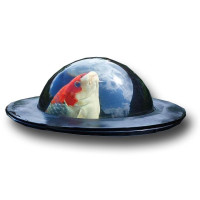 Viewing Dome